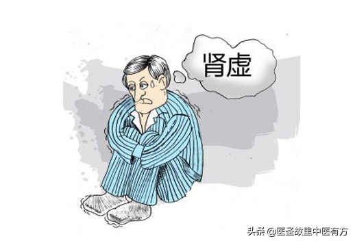 补肾鼻祖药：金匮肾气丸，化气行水、温肾补阳，专治肾虚肢冷之症