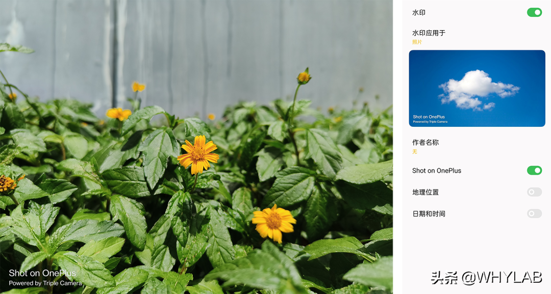 手机厂商们，该对相机水印上点心了