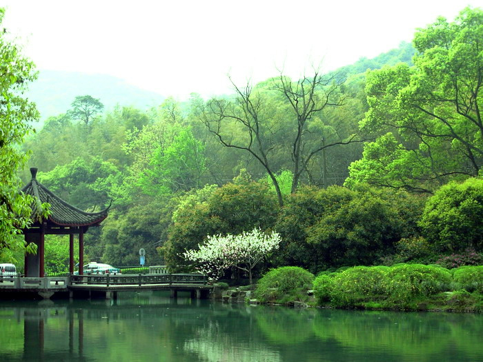 皖南的“墨脱”——源芳大峡谷