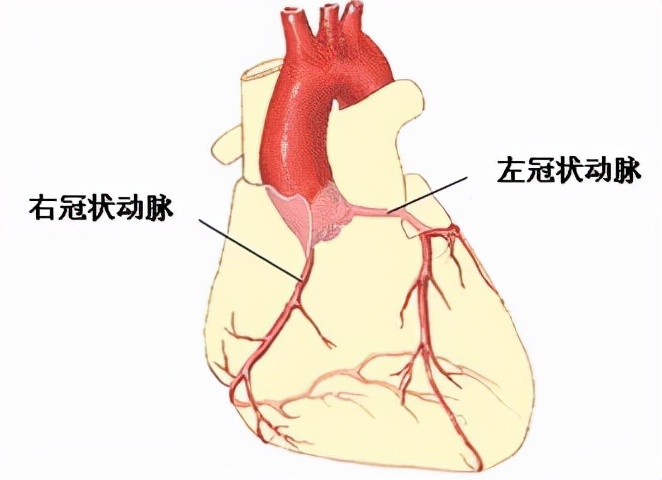 做完冠脉造影，对健康伤害很大？冠脉造影检查对人体有哪些危害？