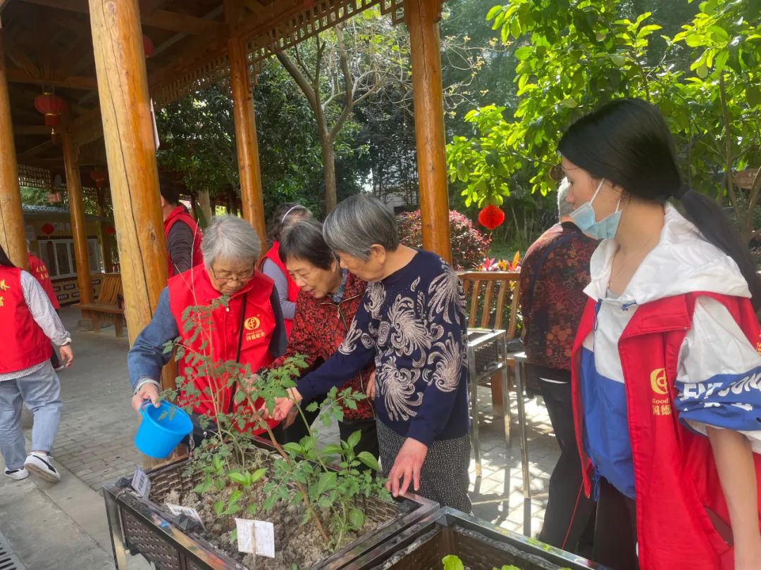 耶！养老院里的开心农场