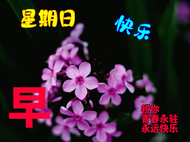 周末早上好早上好问候语大全 早上好表情包 天天好运道，日日福星照图片