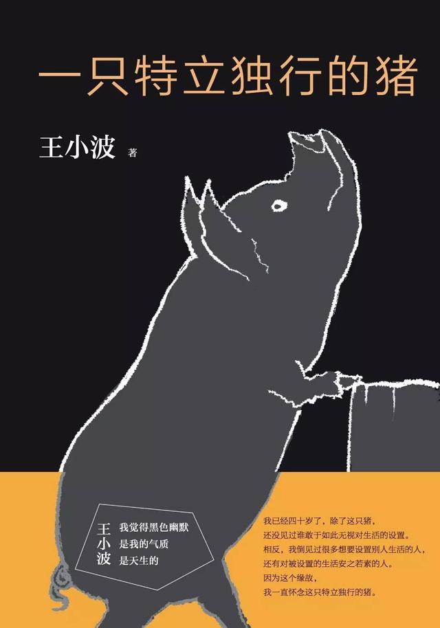 花20年写完的“黄色小说”，被女编辑偷偷出版，王小波：人不如猪