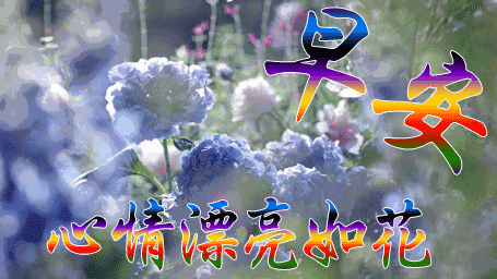 周五微信群发温馨早上好祝福短信 让爱心聚成花 最美的花送最美的你图片