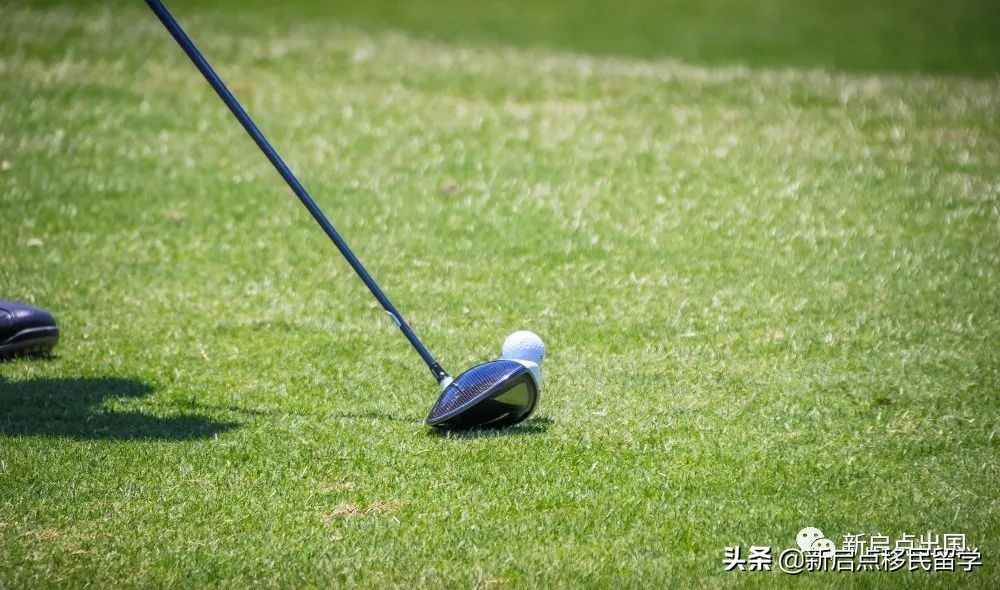 爱尔兰移民生活之娱乐篇（二）