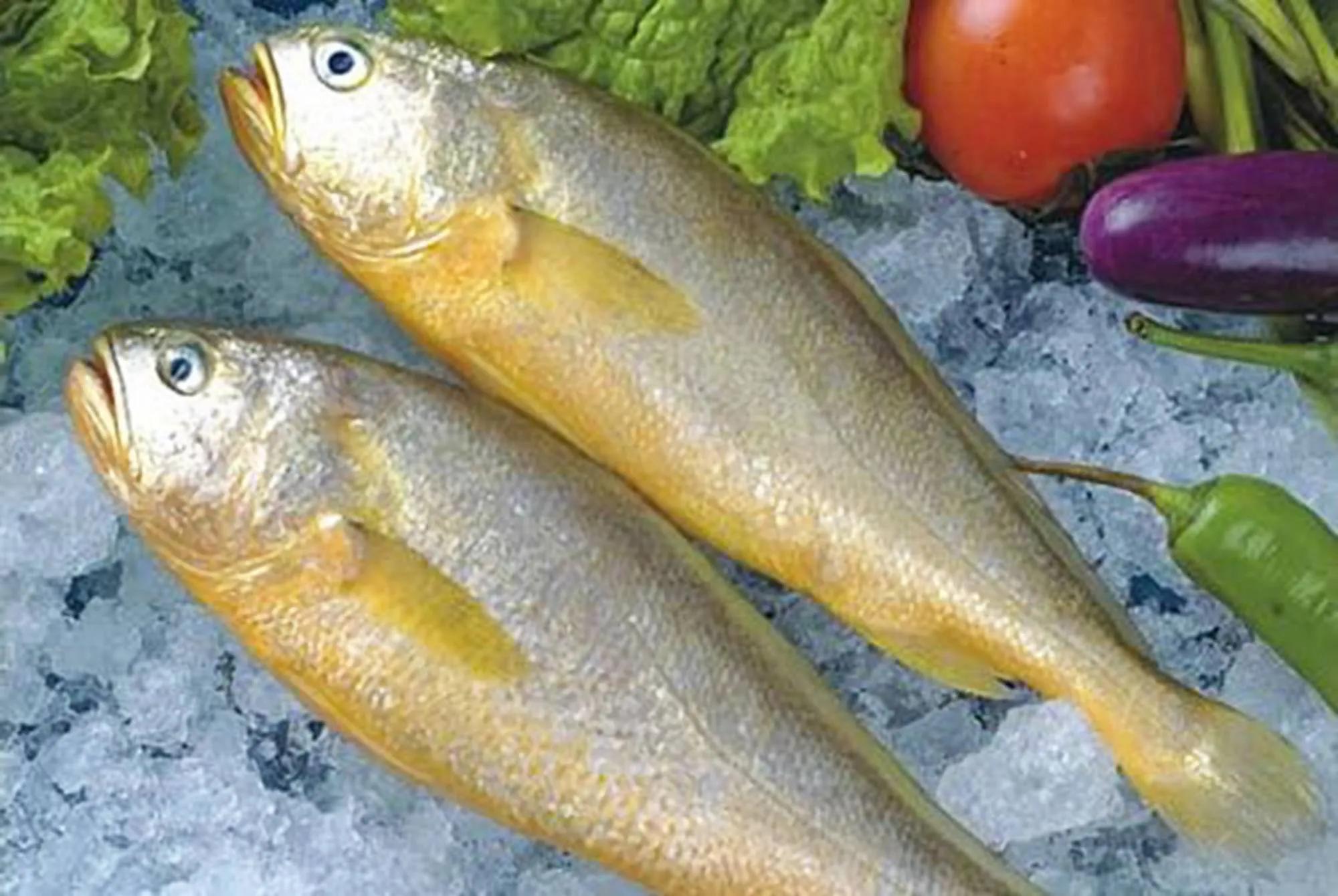 常吃的海鱼大全!请收藏,旅游能用上