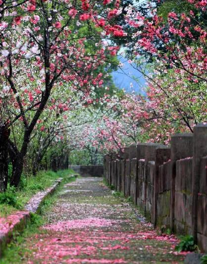竹外桃花三两枝,春江水暖鸭先知