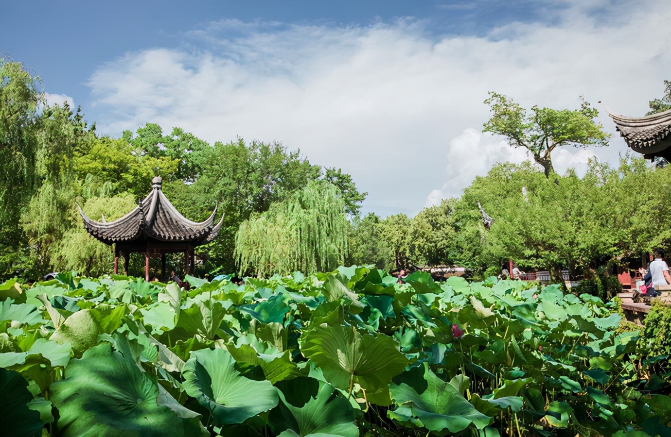 江浙一带最具代表性的三大江南老城，2022年开春旅行就安排起来吧