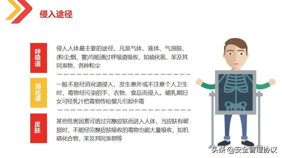 最新职业健康与防护知识培训（105页）