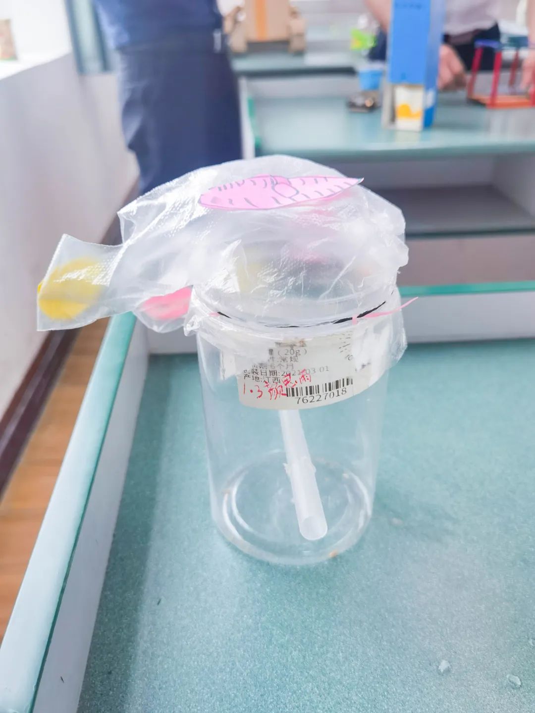 黄甲小学开展“人人参与科技节，我的科技节我做主”科技节活动