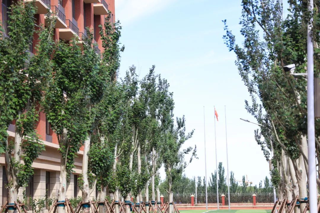 创建绿色校园,启臻人在行动-张家口启臻学校