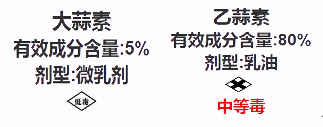 大蒜素与乙蒜素全面对比，谁才是杀菌王者？