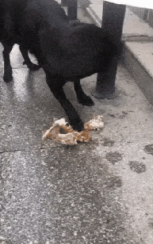 女朋友出差了，说去了上海出差，还给我发来了一张这样的照片