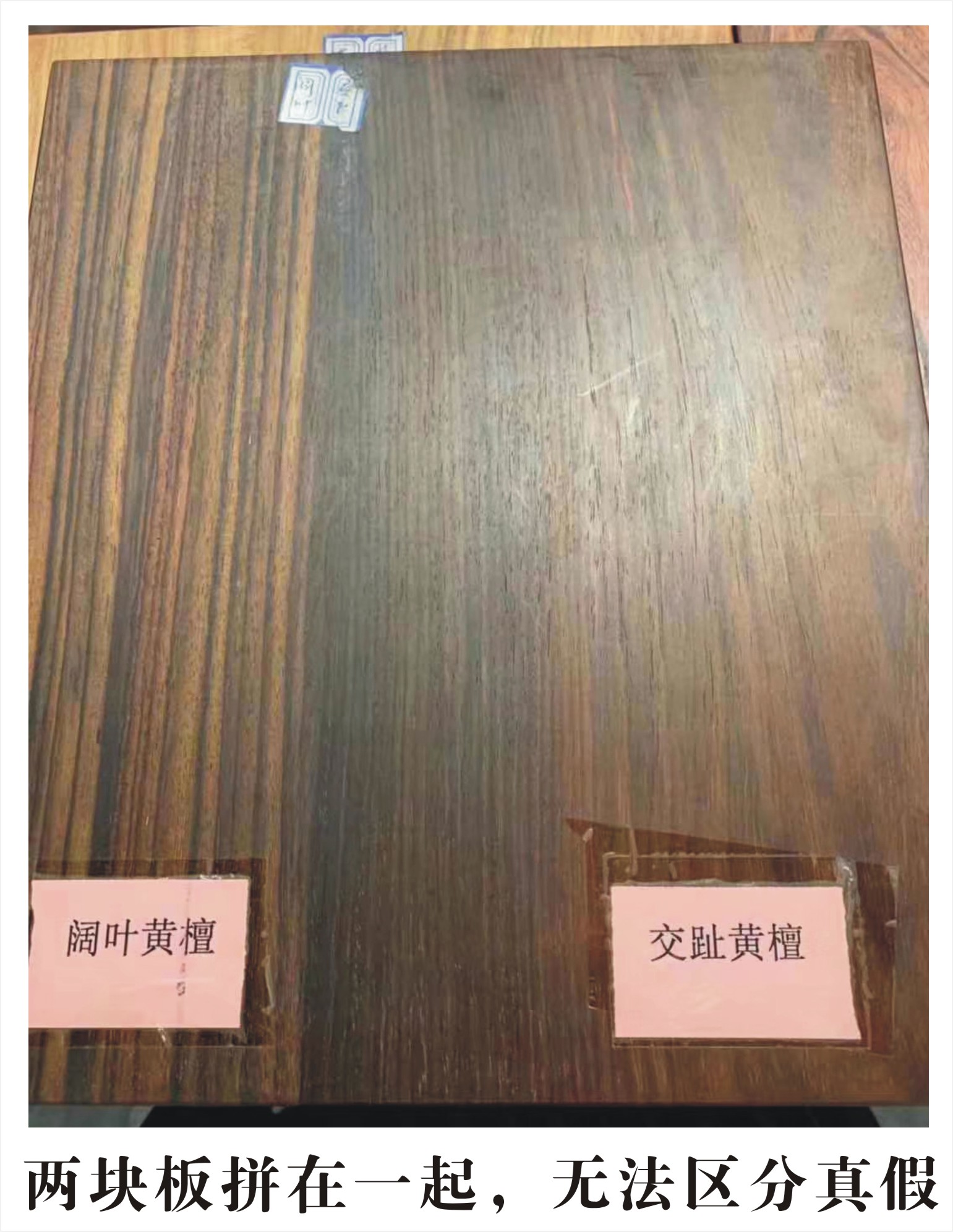 黑酸枝阔叶黄檀名称由来，十个名字你都知道吗？