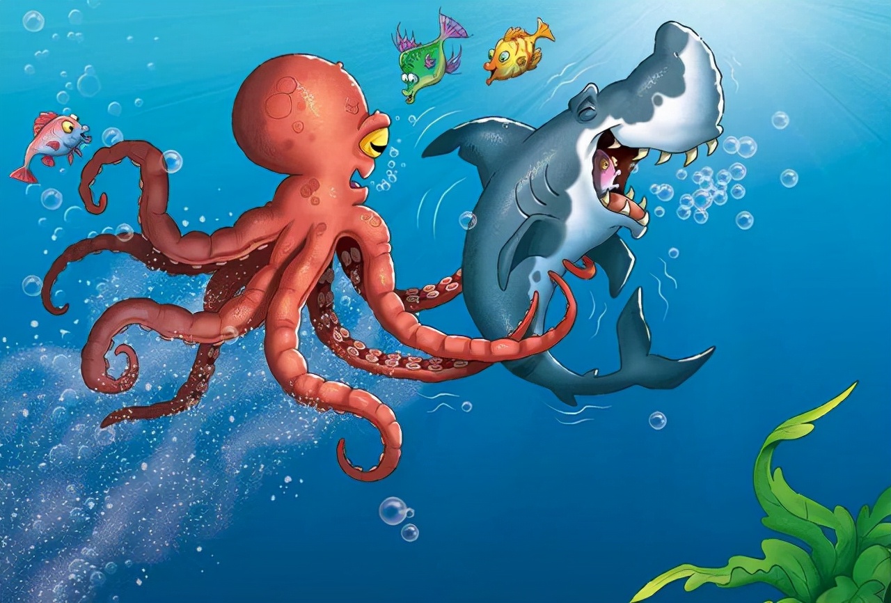 凶猛异常的鲨鱼