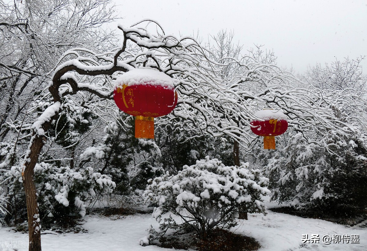 银装素裹分外妖娆，看点评学摄影，把雪景照片拍出新意