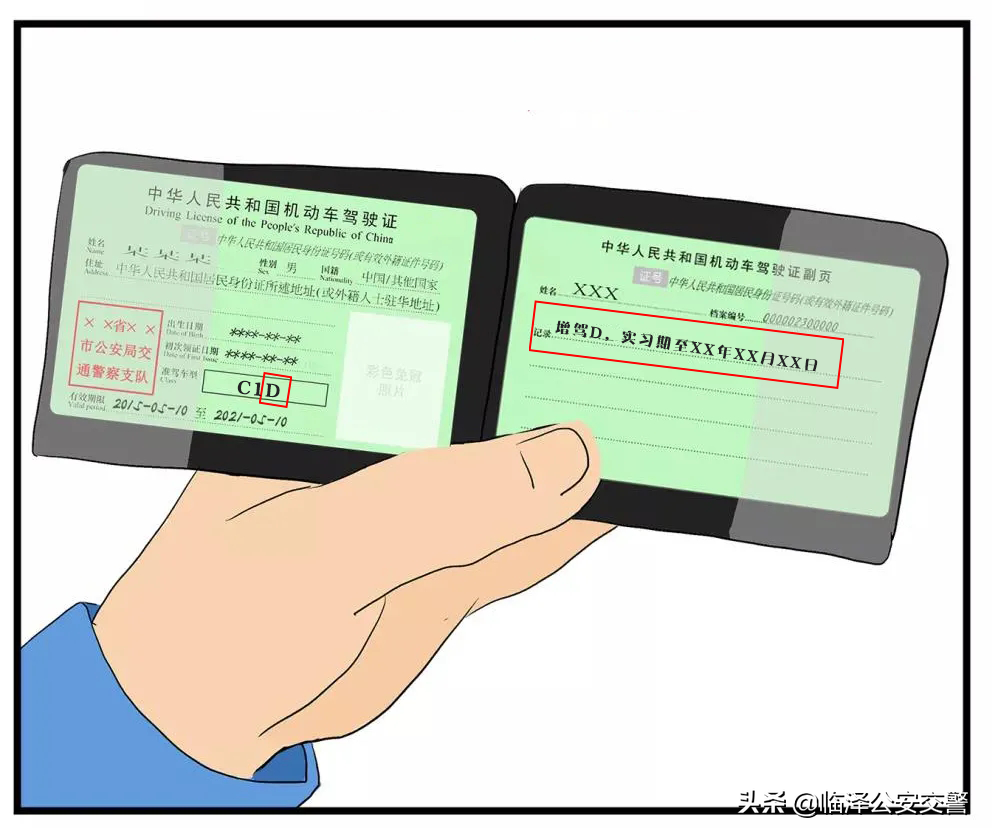 駕駛證在手，實習期什么時候結束？