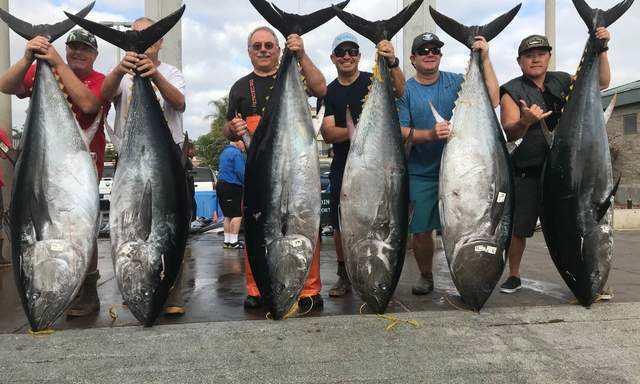 美国女渔夫上演“女人与海”，独自捕获450公斤重的蓝鳍金枪鱼