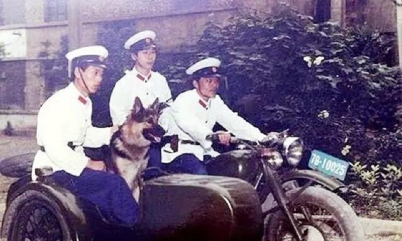 一个连名字都不会写的放羊老头，凭独门绝技成了警界顶尖追踪专家