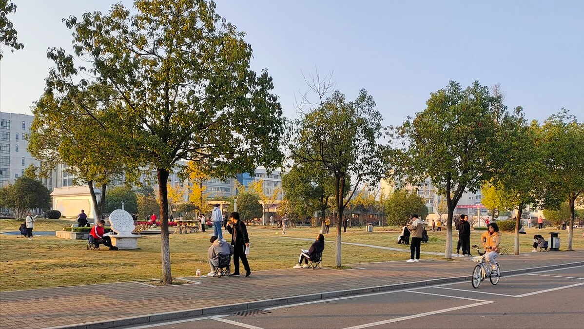 985院校的考研难度有多大？