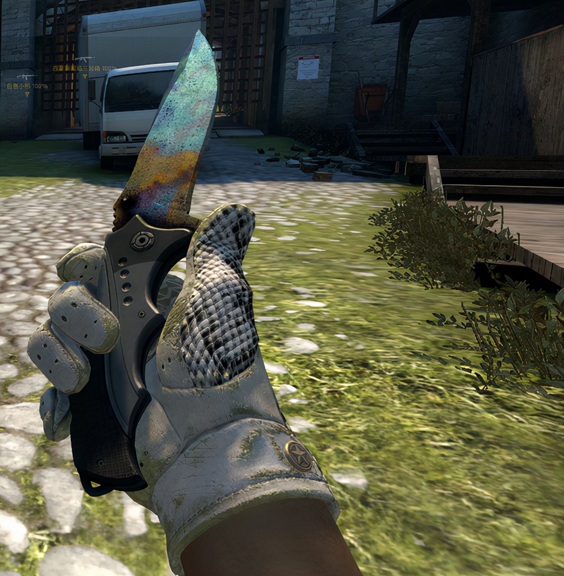 盘点CSGO溢价但又有人喜欢入的饰品