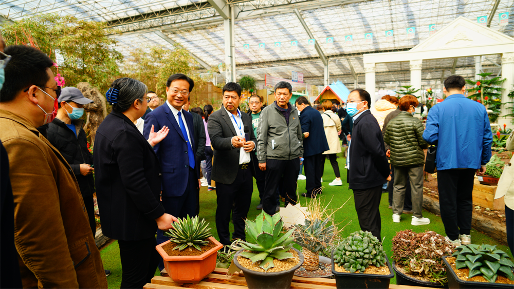 多肉植物展来了_2021年多肉植物展