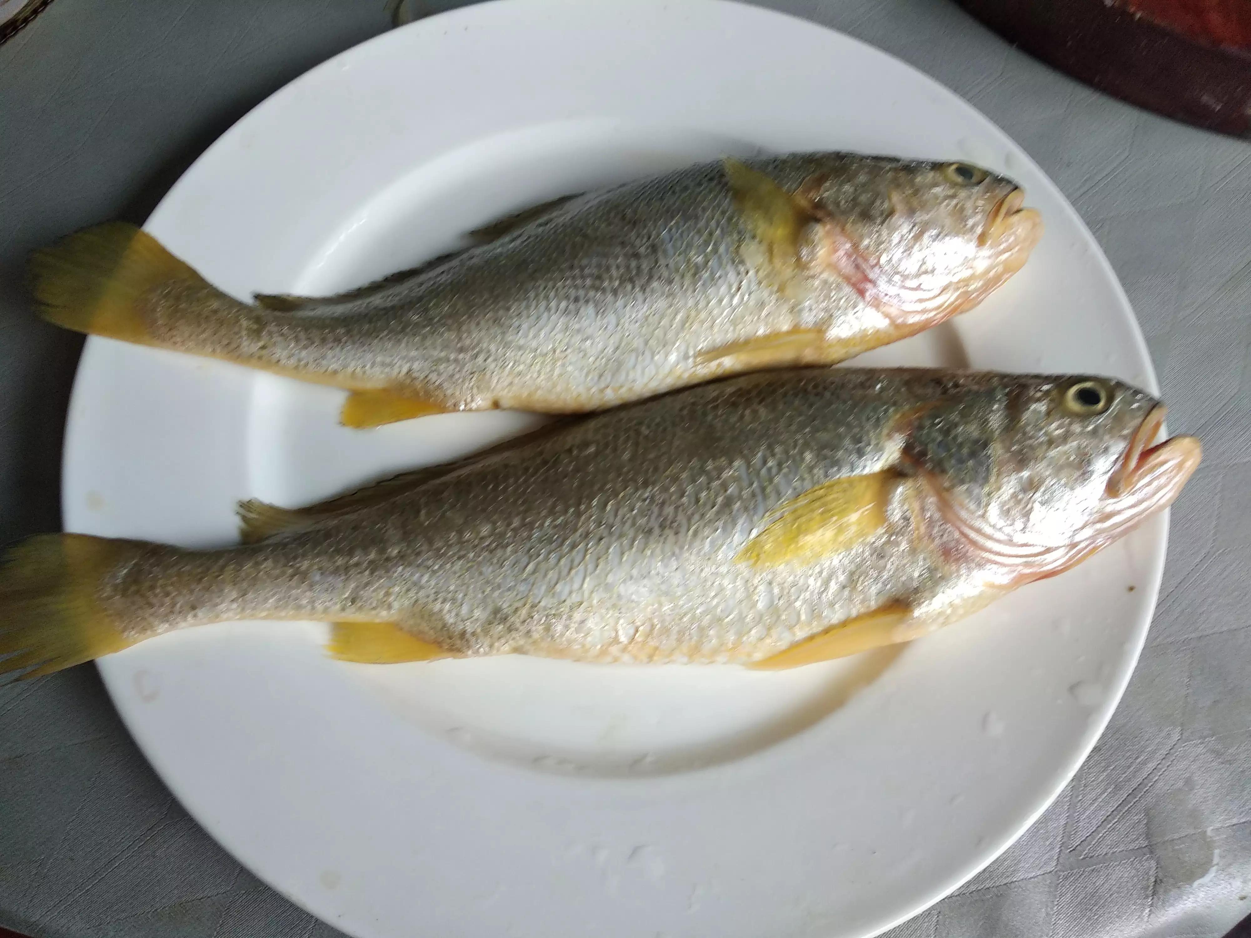 常见海鲜种类名称图片(新年买海鲜) - 赤虎壹号