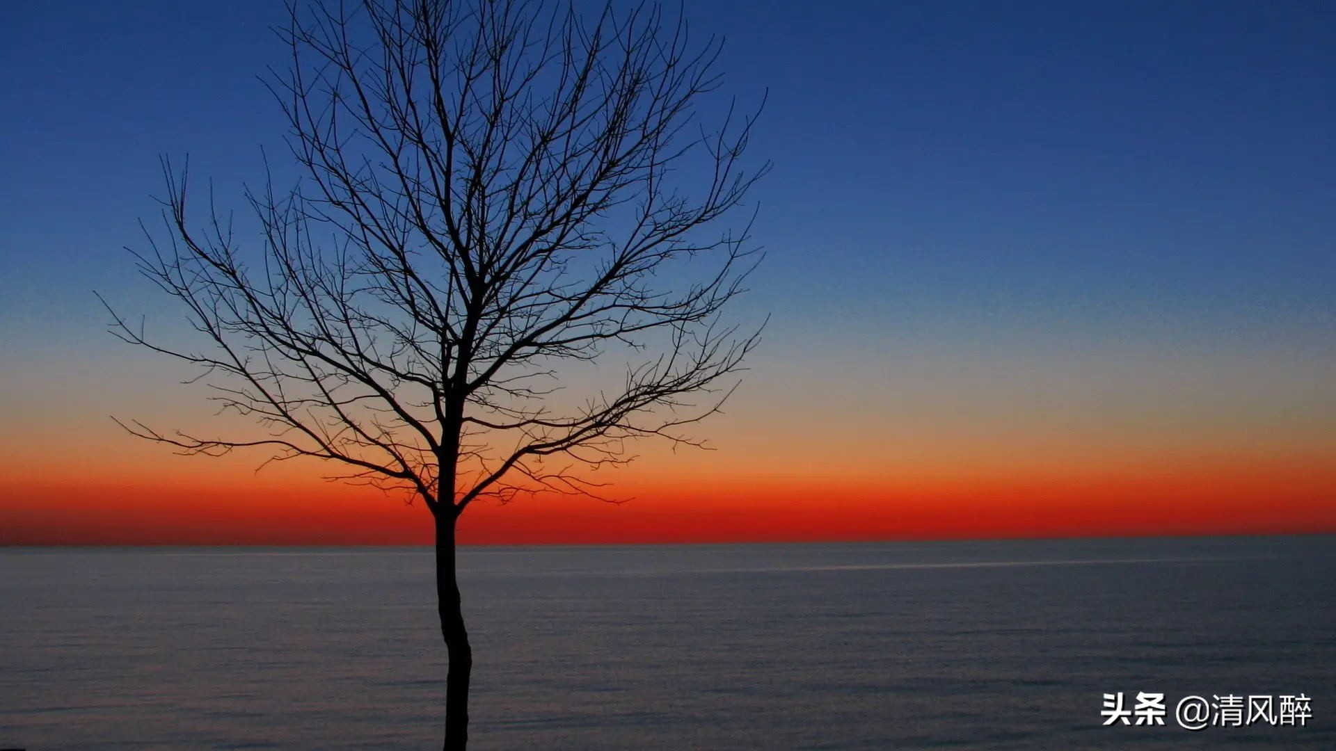 豁然开朗的唯美句子(让人豁然开朗的句子)