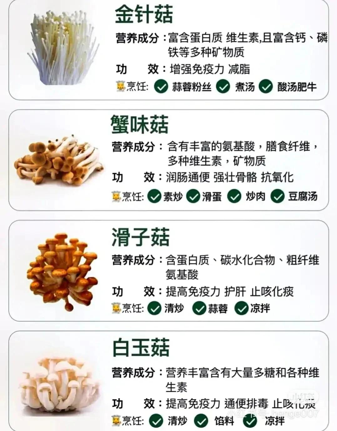 常见蘑菇的分类