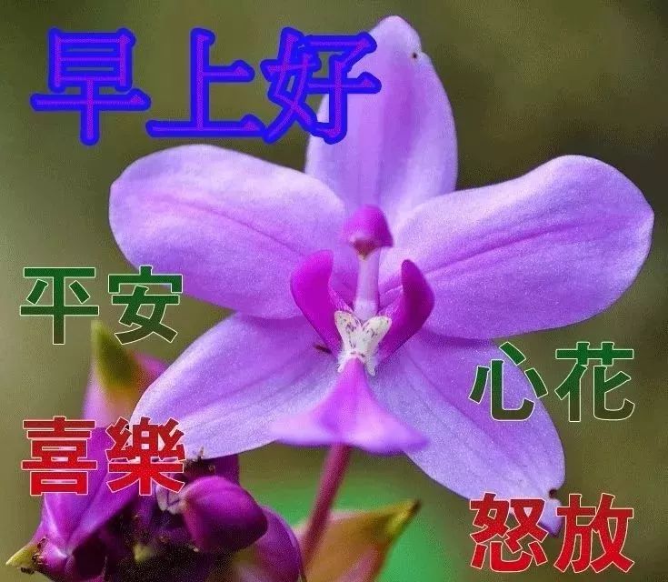 早上好表情动态祝福,甜甜的问候,开心快乐送给你，祝你开心每一天图片