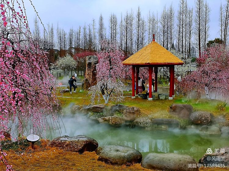 烟雨蒙蒙问花村 作者：武术兰