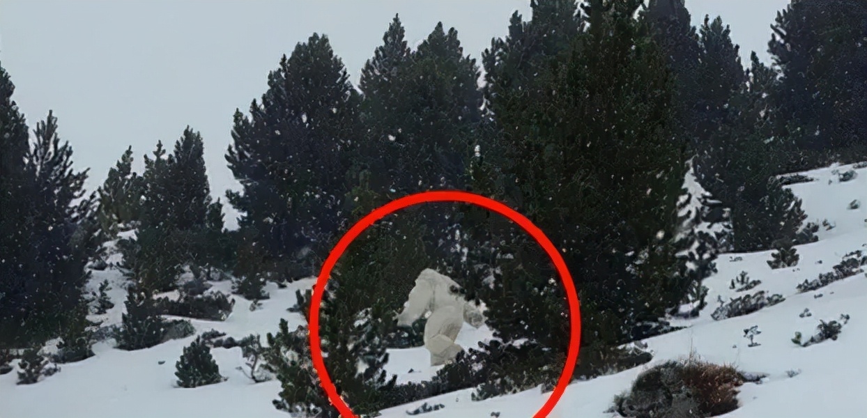 史前世界谁才是陆地霸主？公交车大的鳄鱼？吊打剑齿虎的走地鸡？