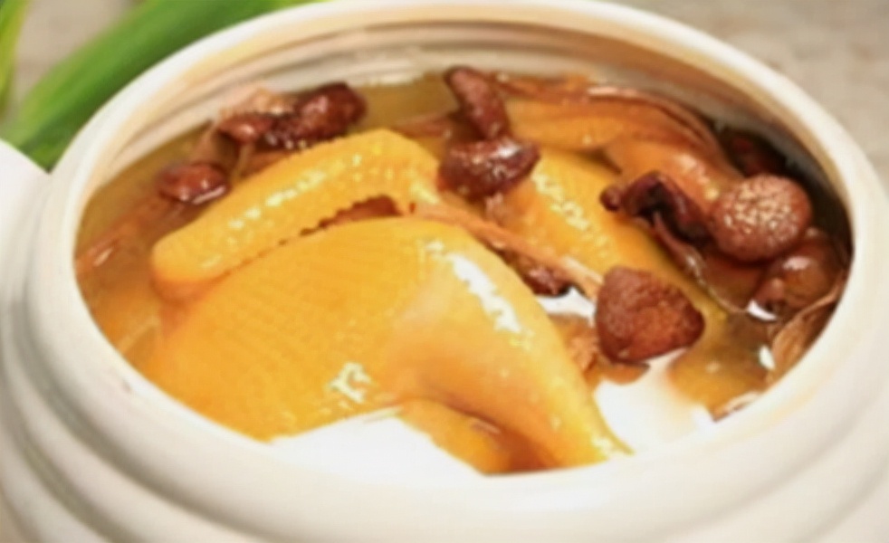 茶树菇炖鸡好吃吗(鲜香美味，茶树菇炖鸡饱含鲜汤乐趣)