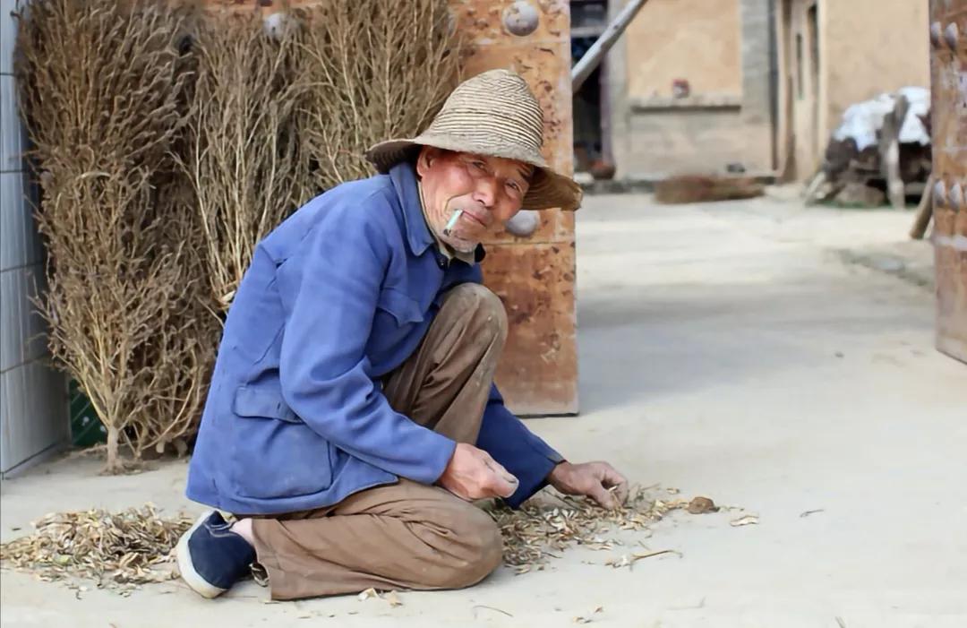 我要对农村老人说几句掏心窝子的话