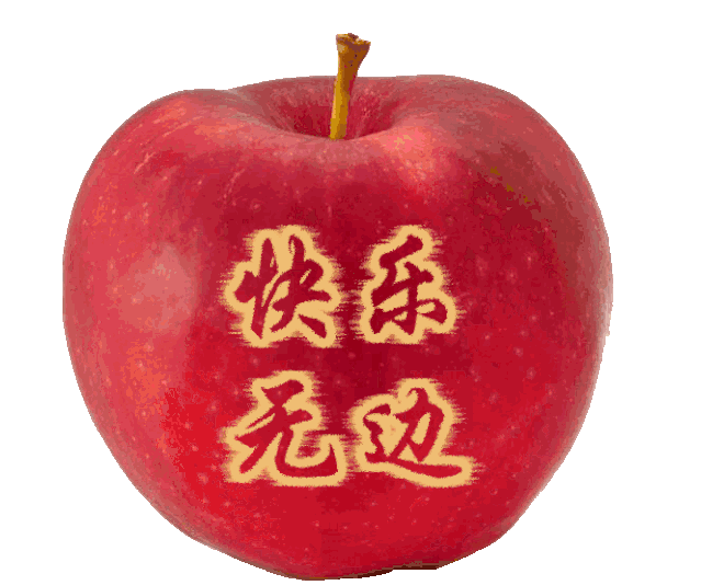 星期二微信漂亮的鲜花早上好问候问候语图片 珍惜所拥有的就是幸福图片