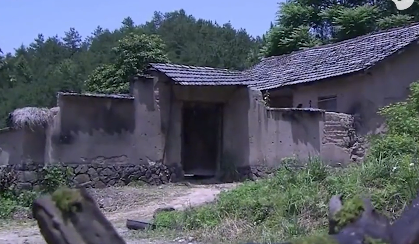 17年前，与瘫痪父亲相依为命，高考763分的广西女孩，现状如何？