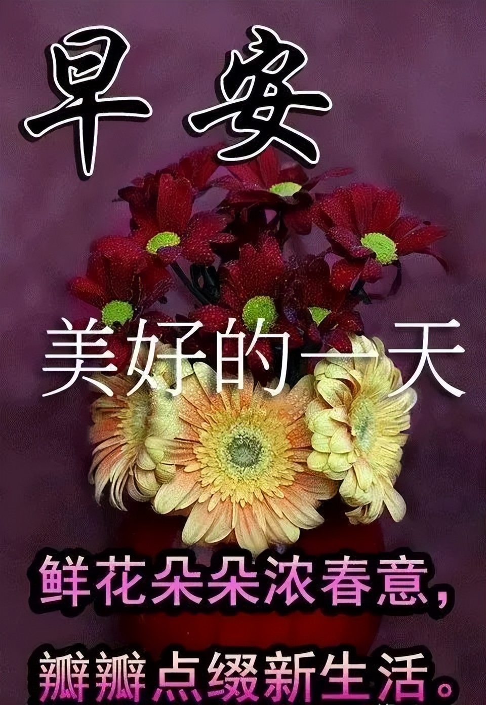 星期四早上好祝福语表情图片带字 向着太阳的地方就是努力的方向图片