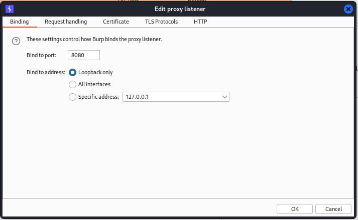 Web渗透_扫描工具Burpsuite