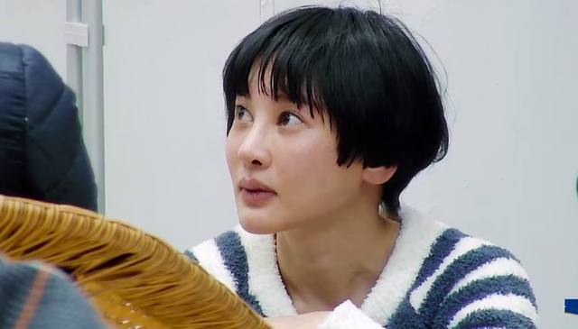 真没想到，这10对明星夫妇是丁克，有人养猫，有人把狗当亲人