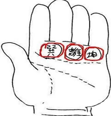手相面相大全资料