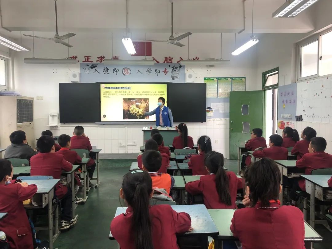 太平街道禁毒工作领导小组禁毒宣传走进合江小学开展校园教育活动