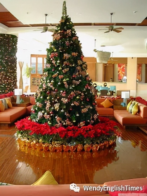 How Do You Celebrate Christmas? 你是怎样庆祝圣诞节的？