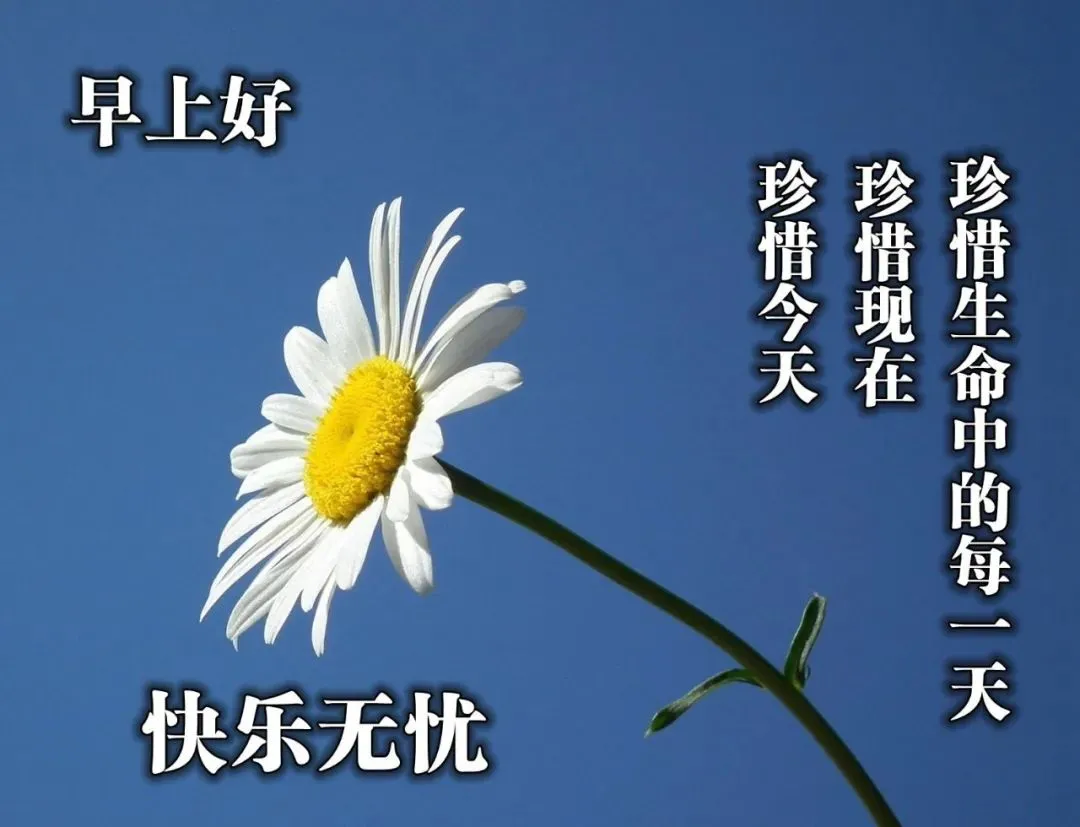 「2022.01.27」早安心语,正能量精选语录说说,很酷的早上好图片