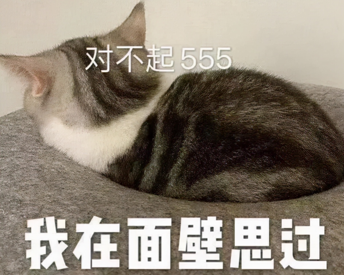 跟自己的对象道歉认错的可爱文案 超级可爱的道歉句子