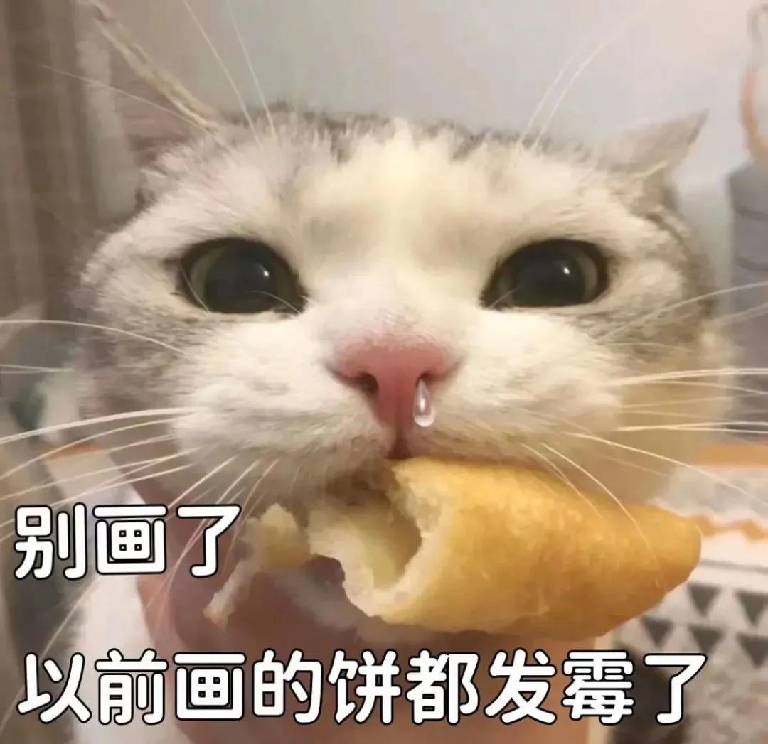 表情包｜小猫突击