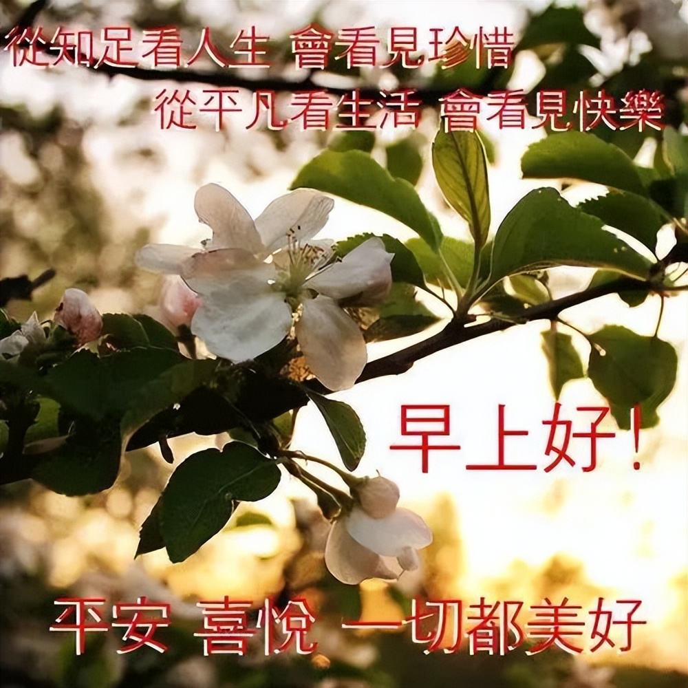 漂亮早上好图片 问候朋友早上好图片表情包 一声问候带给你幸福甜蜜图片