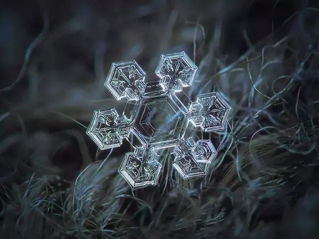 唯美雪花！