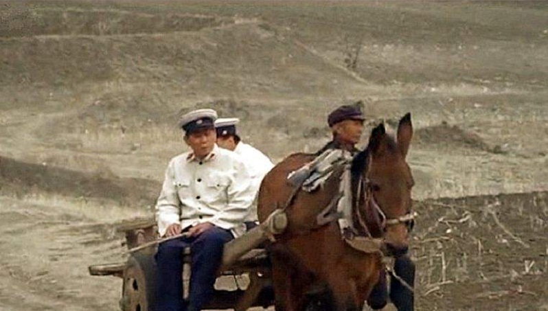 一个连名字都不会写的放羊老头，凭独门绝技成了警界顶尖追踪专家