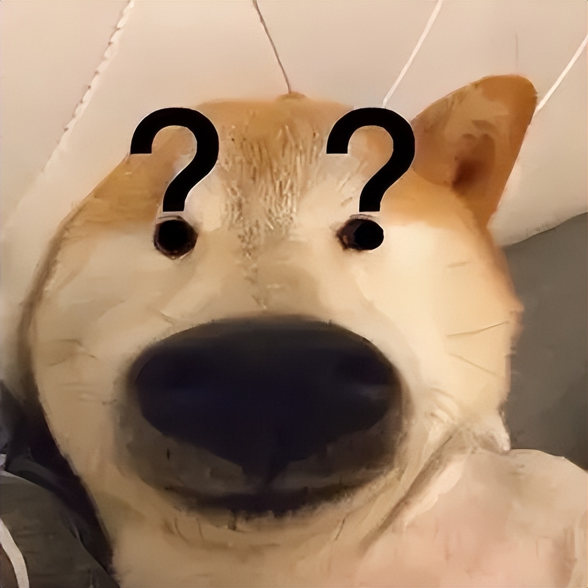 笑死人的图片(盘点全网笑到肚子疼的搞笑图片,笑死人不偿命~(第九期))