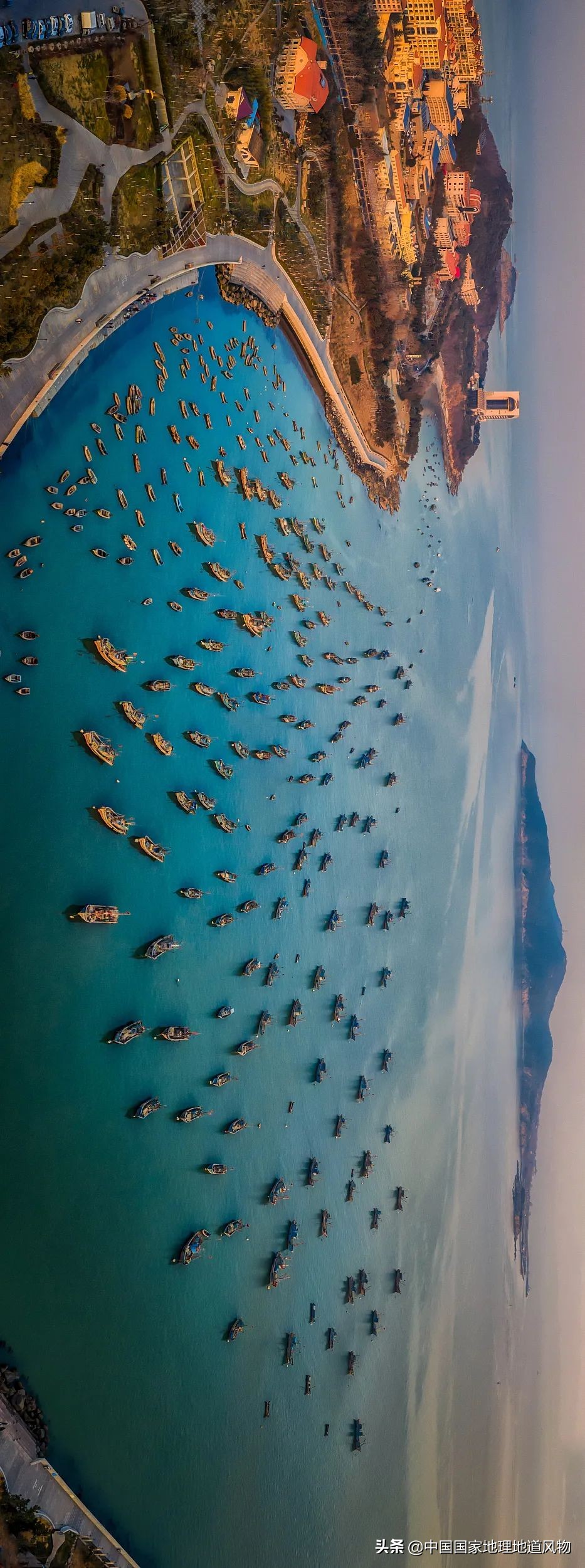 中国第一海鲜大省的这座城，让国人实现顶级生蚝自由